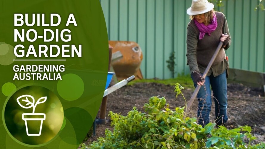 How to build a no-dig garden | DIY Garden Projects | Gardening Australia