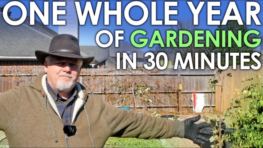 One Whole YEAR of Gardening in 30 Minutes - 2022 in Review || Black Gumbo