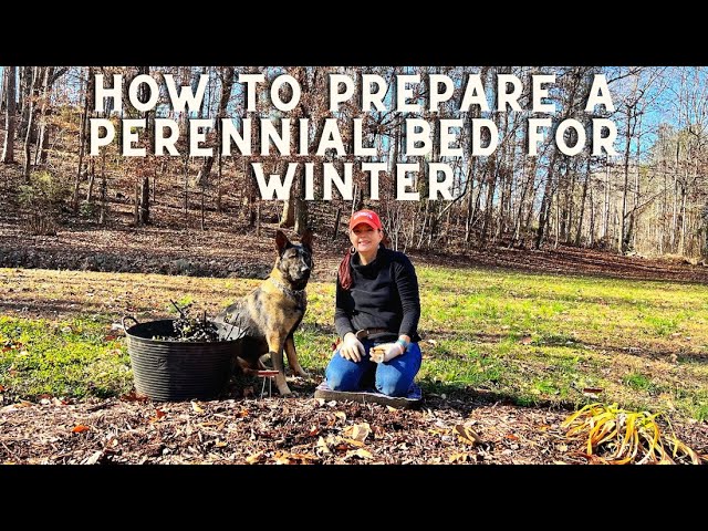 How To Prepare a Perennial Bed for Winter (And MORE!) | Gardening with Creekside