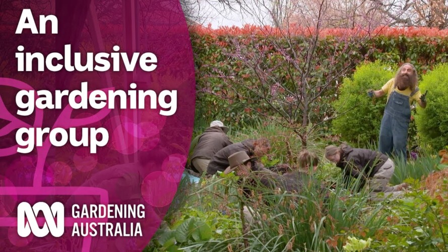 A group creating an inclusive space to learn gardening skills | Discovery | Gardening Australia