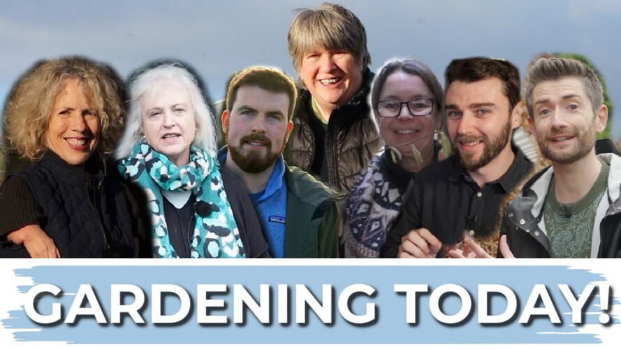 What to Do in the Garden in Mid Winter | January Gardening Guide