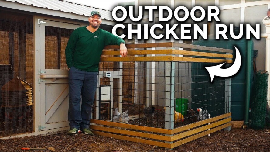 DIY Outdoor Chicken Run Build for the Epic Hens! 🐔