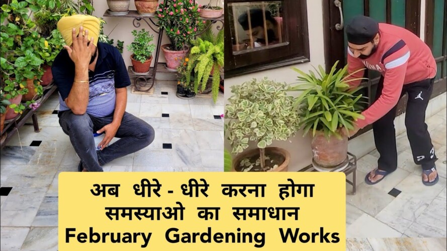 अब धीरे-धीरे करना होगा सब जरूरी काम, February gardening works / Garden update