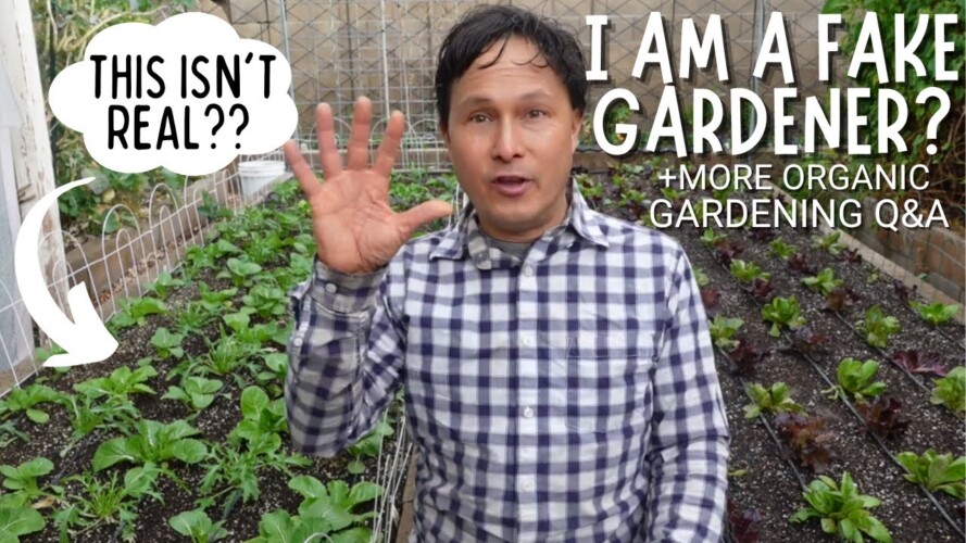I am Not a Real Gardener & Stupid ? + Organic Gardening Q&A