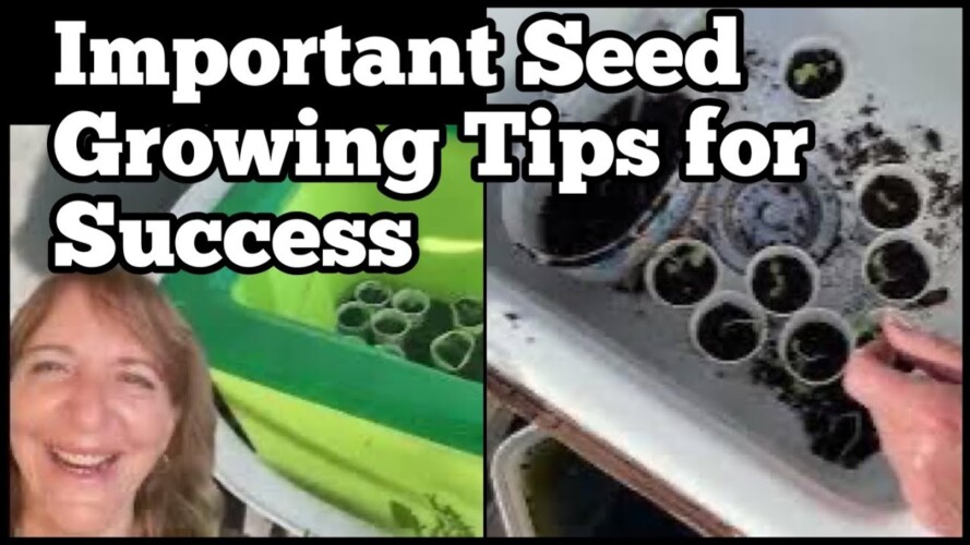 TIPS on Seed Starting Success, Planting Seedlings & STORING them for the Spring Outdoors or Indoors