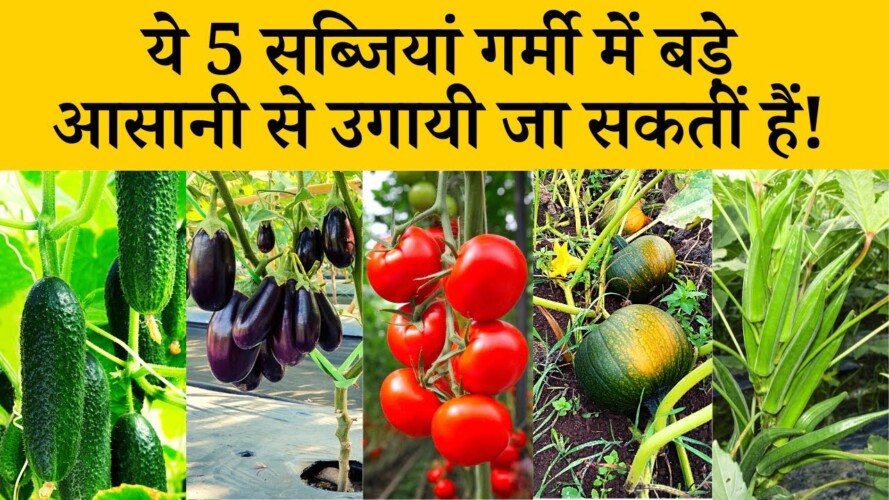 ये 5 सब्जियां गर्मी में बड़े आसानी से उगायी जा सकतीं हैं! Garmi Me Kaun Si Sabji Ugai Jaati Hai