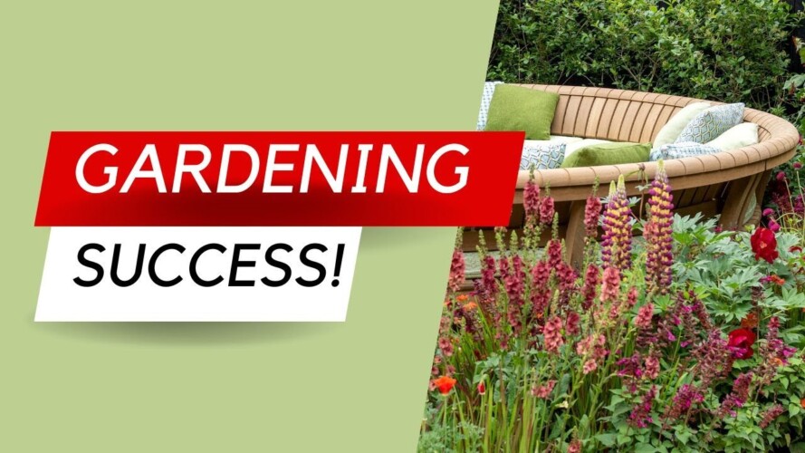 8 Top Gardening Goals - and how to achieve them
