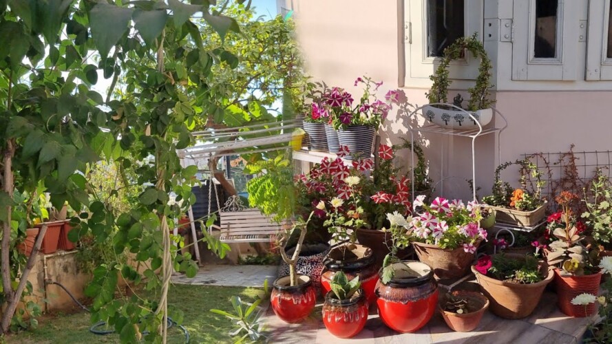 My Neighbor's Garden Overview 😍😍 || Mere Padosi ke Garden ka Overview || Fun Gardening