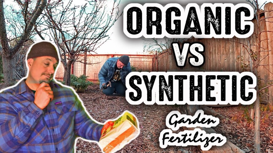 GARDENING FERTILIZER !! Is it OK to Use Non-Organic Garden Fertilizer in an Edible Landscape?