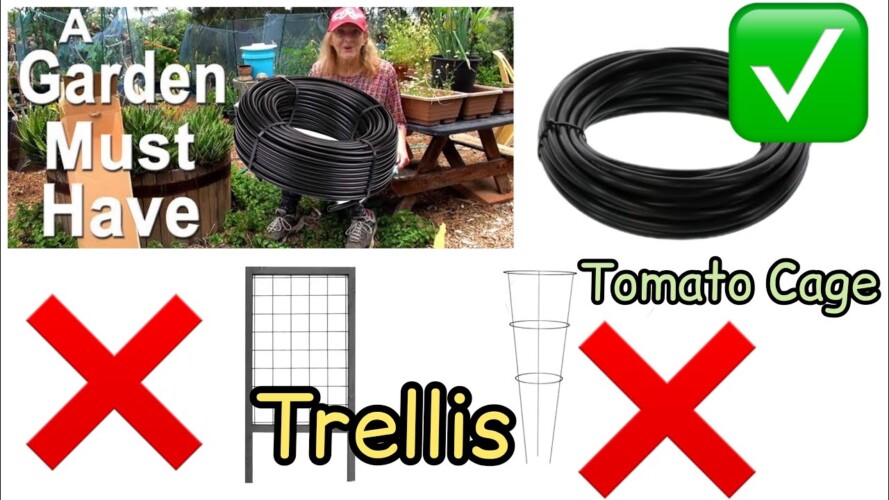EASY Vertical Gardening, Trellis, Stake, Small Space Garden, Save Tons of Money w/ My Amazing Method