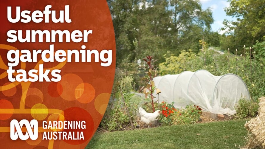 3 must do summer gardening tasks to make your garden thrive | Gardening 101 | Gardening Australia