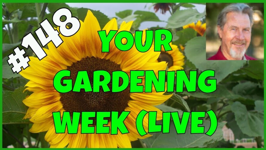 Gardening Adversity (Q&A)