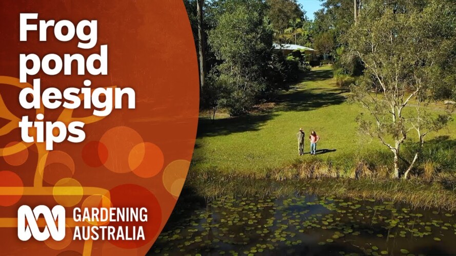 Frog pond design tips with an expert landscape gardener | Garden Design | Gardening Australia