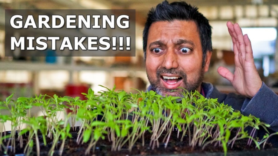 Do NOT Make These Biggest Gardening Mistakes !!