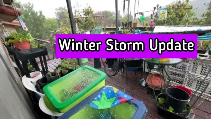 Winter Storm Hail High Winds Rain Update on Vegetable Garden & Feeding Hummingbirds Bird Feeder