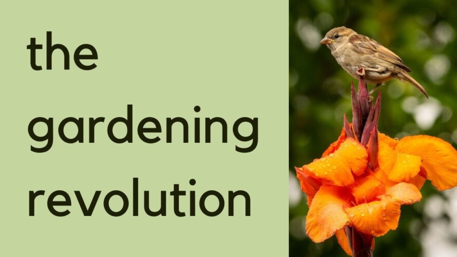 Gardening for biodiversity - why changing the rules is good news for garden lovers!