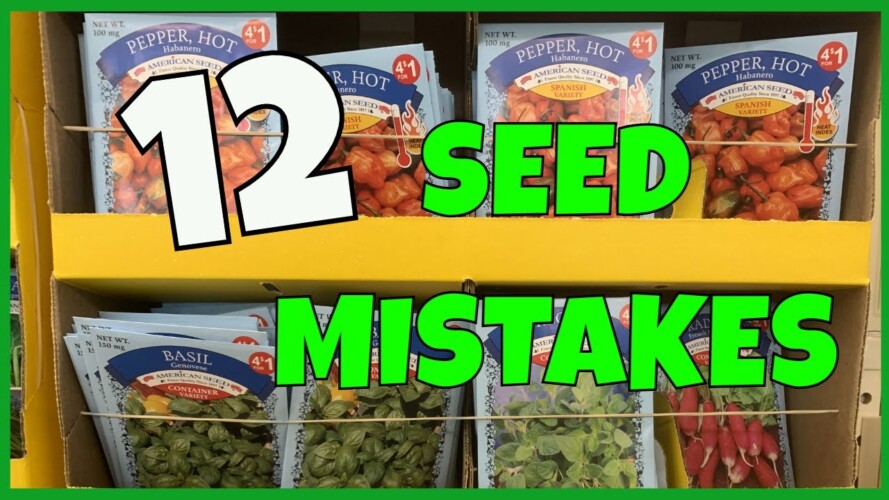 Avoid These Seed Buying Mistakes