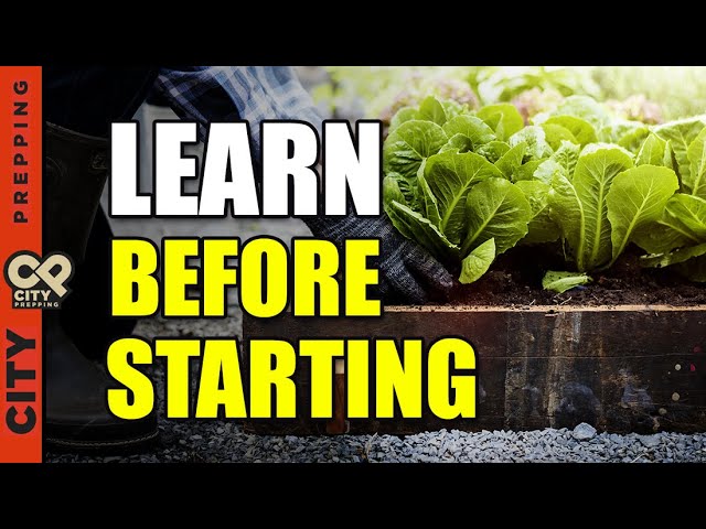 4 Critical Rules to Obey For Gardening Success (pt 5)