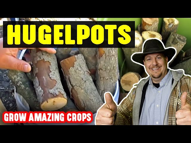 Gardening in Hugelpots aka Hugelkultur in a Pot | What Happens After 5 Years Will Shock & Amaze You!