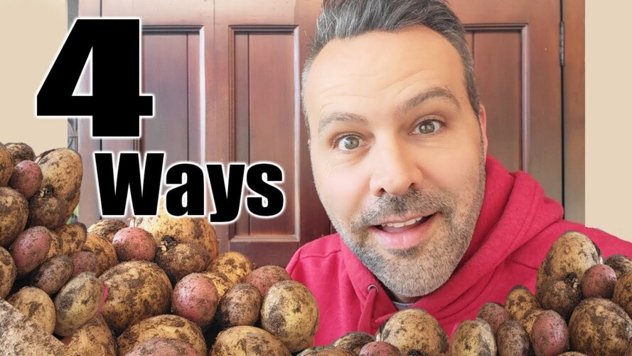 How to Plant Potatoes 4 Ways