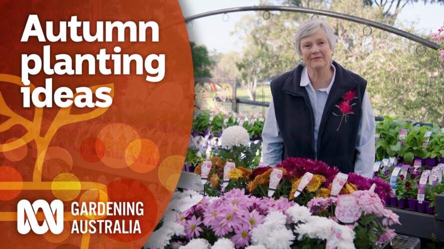 Autumn planting ideas to bring out your garden's colour | Garden Inspiration | Gardening Australia