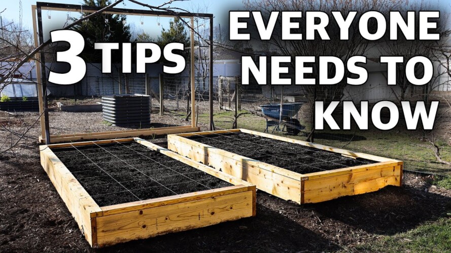 How to Prepare your Garden for Spring, 3 Important Tips EVERYONE NEEDS TO KNOW!