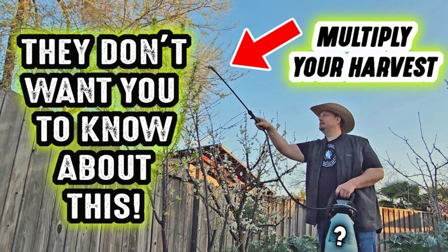 They DON"T WANT YOU TO KNOW this secret GARDENING HACK that will change the way you garden FOREVER!!