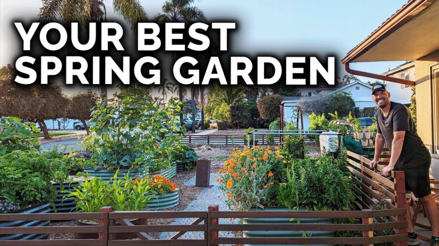 7 Tips to a Bountiful Spring Garden 🌸🍅
