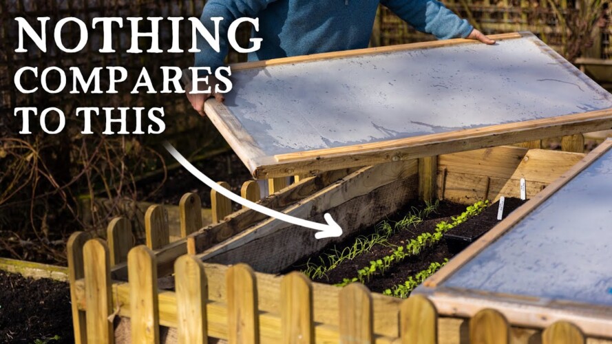 This Ancient Gardening Technique is Seriously Productive (& Low-Cost!)