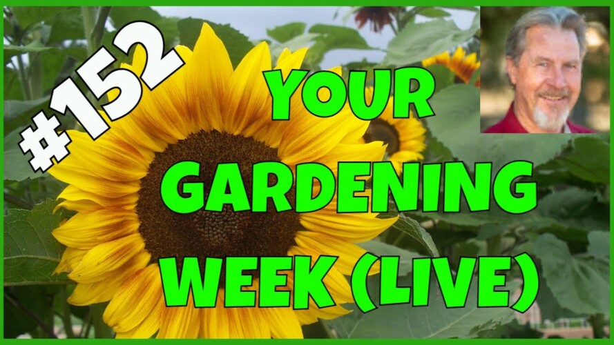 How to Learn Gardening Locally (Q&A)