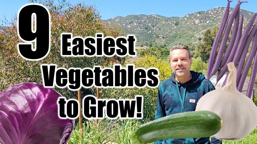 9 Easiest Vegetables to Grow