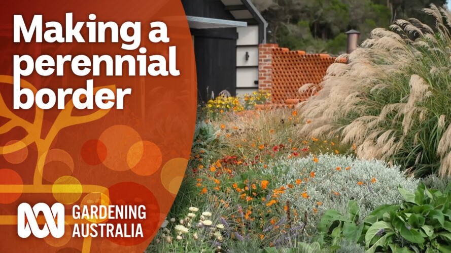How to create a perennial border | Garden Design and Inspiration | Gardening Australia
