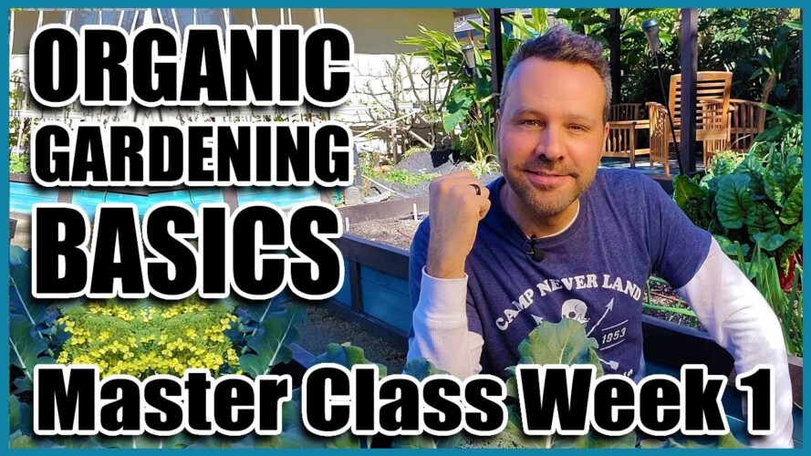 Organic Gardening Basics  - Week 1 of 4