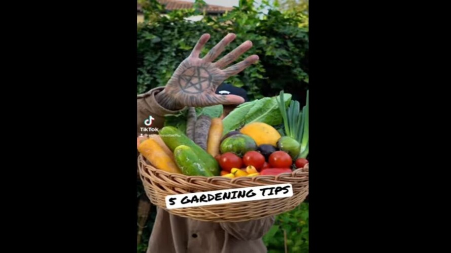Top 5 gardening hacks! #shorts #short #gardening #gardeningtips #gardening