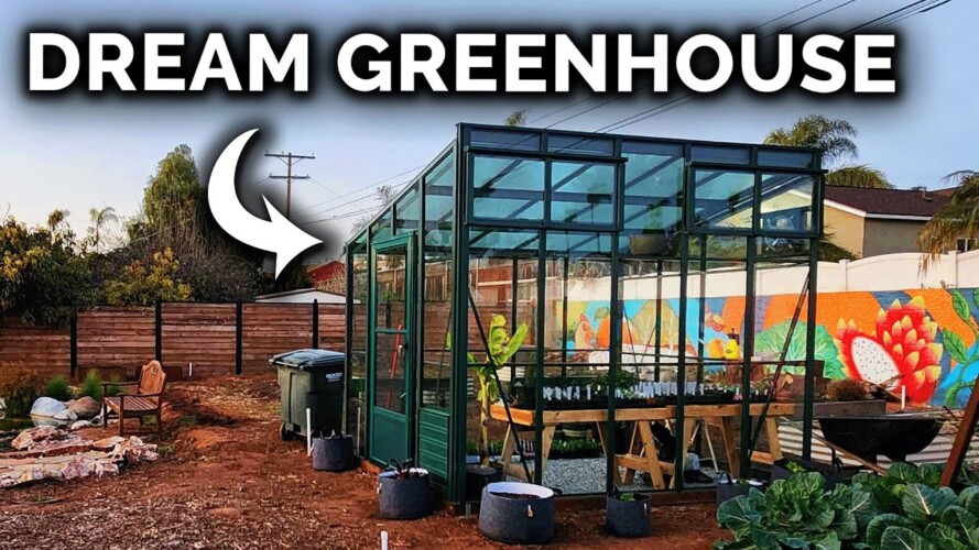 My Custom Greenhouse Design, Build, & Tour!