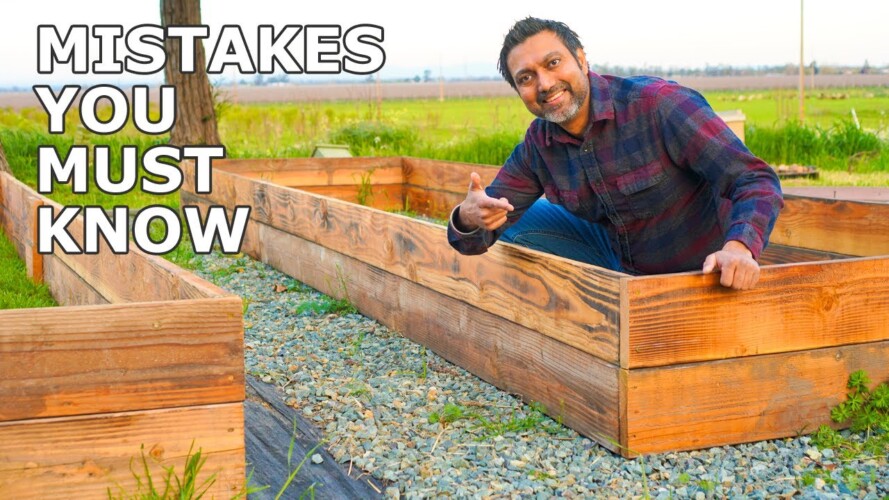 5 Raised Bed Gardening Mistakes to Avoid