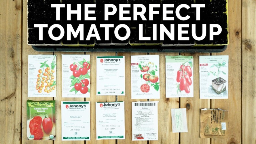 Is This The Ultimate Tomato Collection to Plant?