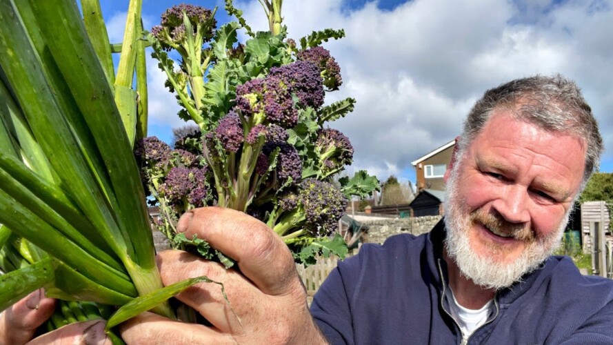 A Day On The Allotment Garden | Allotment Gardening with Tony