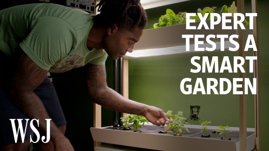 Can an Indoor Smart Garden Beat Outdoor Gardening? We Tested It | WSJ