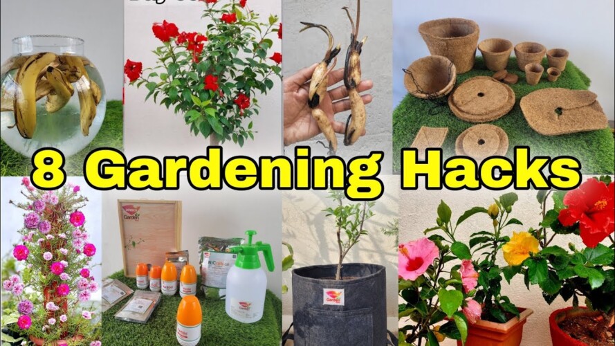 8 Gardening Hacks for all seasons | Fertilizer for plants