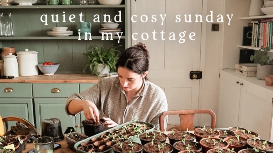 Cosy Sunday In My English Cottage | Woodland Walk, Cleaning & Gardening