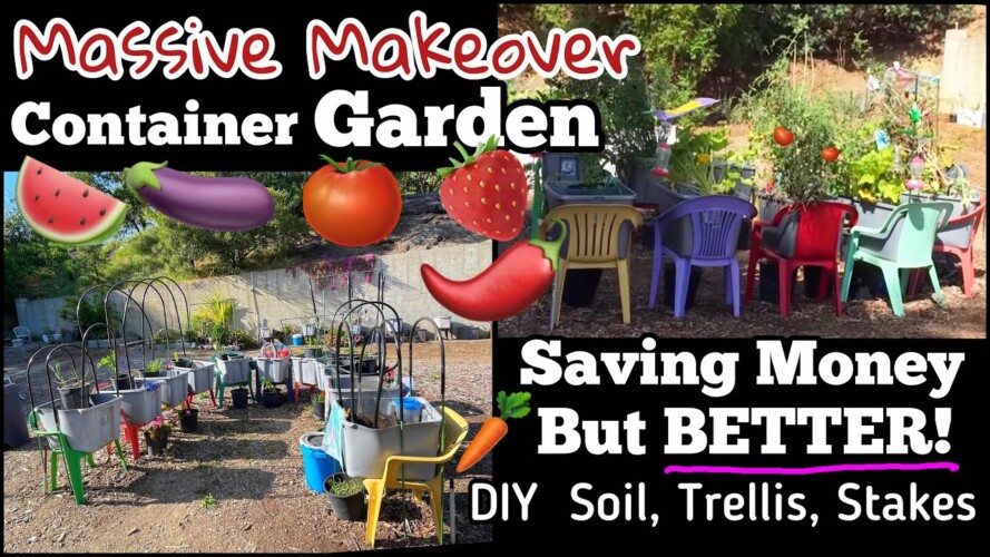 Container Gardening NEW Setting Up How to Build a Raised Garden Bed Money Saving Trellis on Chairs