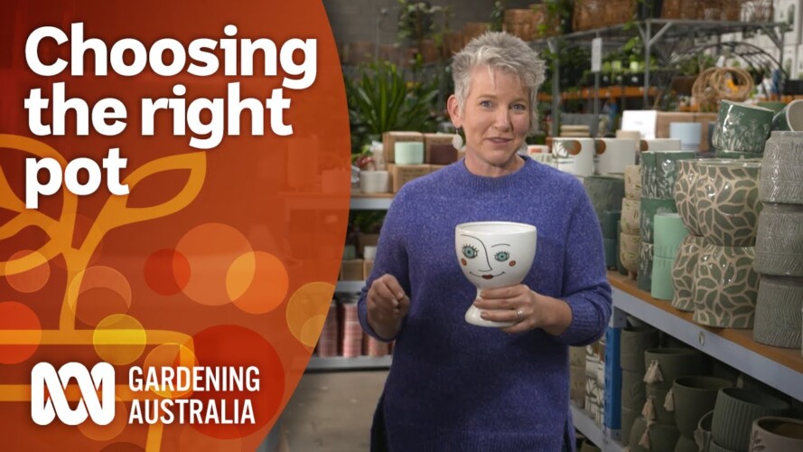 How to choose the right pot for your planting needs | Gardening 101 | Gardening Australia