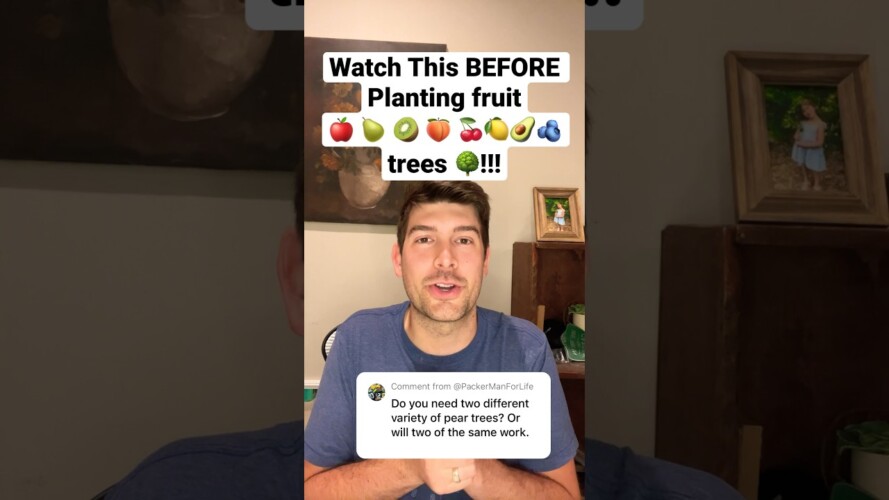 Watch This BEFORE You Plant Fruit Trees! #garden  #gardening