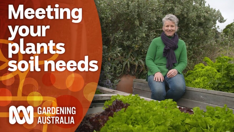 How to tailor your soil to suit your plants nutritional needs | Gardening 101 | Gardening Australia