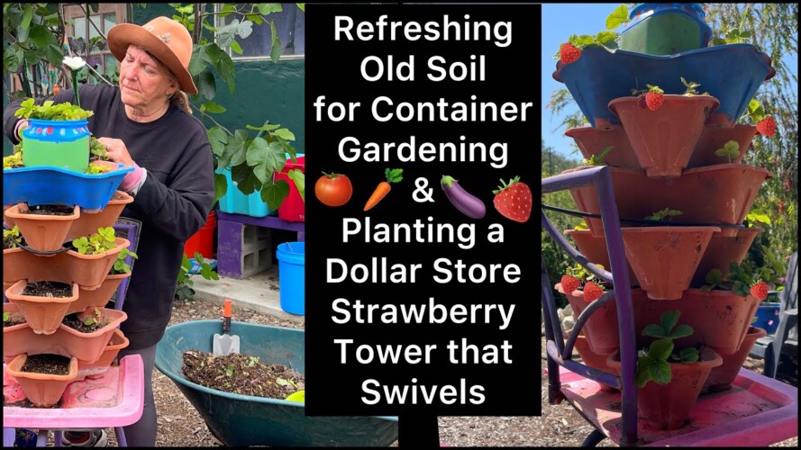 Soil Mix for Container Gardening Redoing 99cent Store Strawberry Tower Planting Growing Strawberries