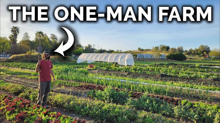 He Farms 35 Hours a Week By Himself and Makes 6 Figures