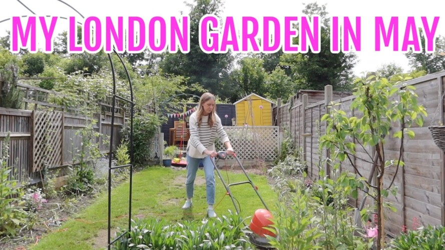 A TINY LONDON GARDEN IN MAY 2023 / GARDENING FOR BEGINNERS