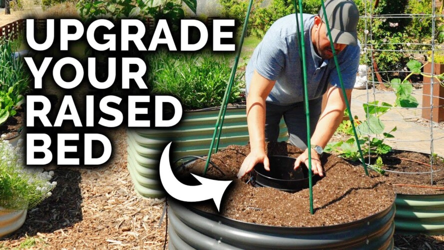 4 Dead-Simple DIY Project to Upgrade Your Raised Beds