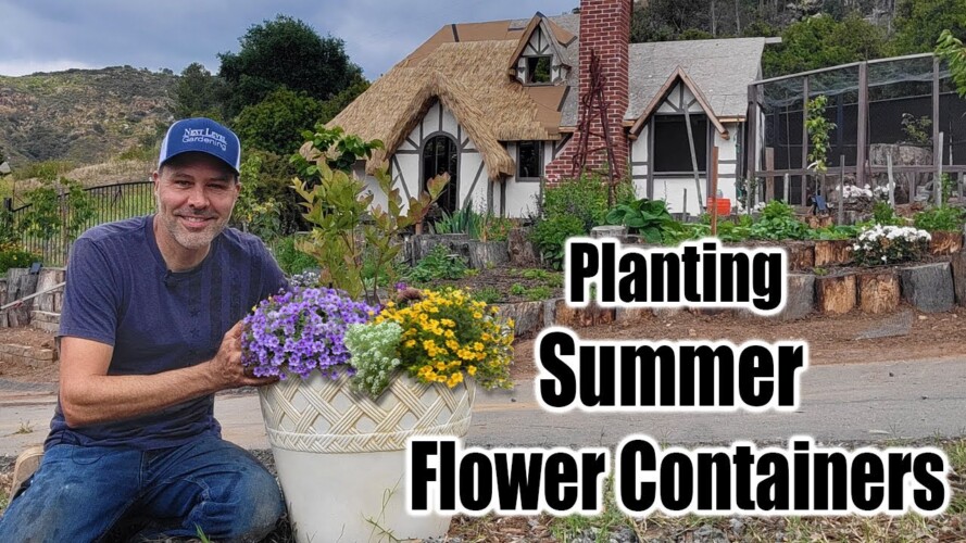 Planting Summer Flowers in Containers